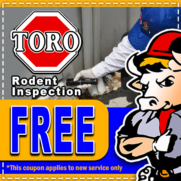 Advertisement for TORO Rodent Inspection offering a free inspection for new pest control services in South Florida. Shows a cartoon worker, a person inspecting a corner with equipment, and bold text highlighting the free offer.