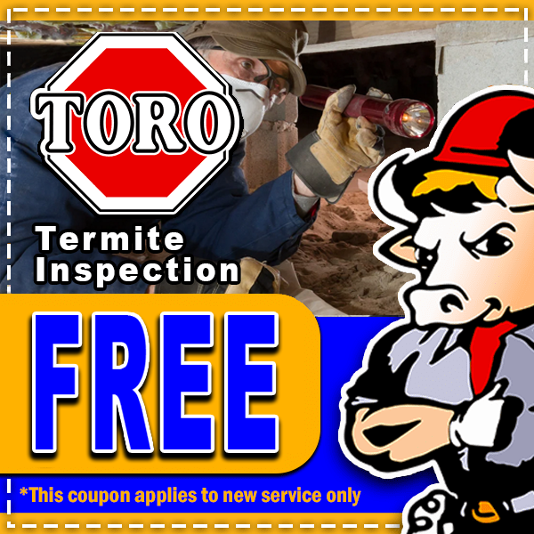 A person inspects a crawlspace with a flashlight. Text reads TORO Termite Inspection FREE—trusted pest control in South Florida. A cartoon bull in uniform is on the right. Fine print: *This coupon applies to new service only.