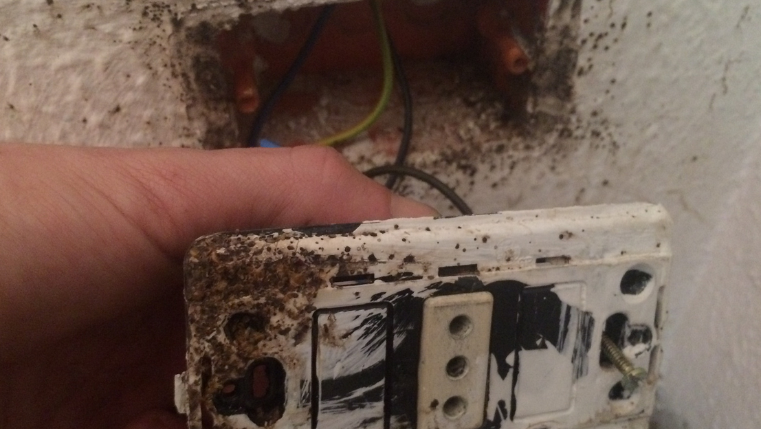 A hand holds a dirty, moldy electrical outlet panel removed from a wall in Miami, exposing disconnected wires and a stained, damaged socket box behind it.