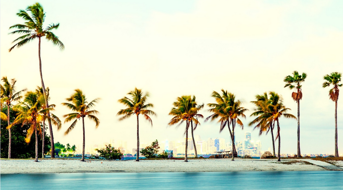 A row of tall palm trees lines a sandy South Florida beach with calm blue water in the foreground. A distant city skyline is visible through a light haze in the background. The sky is mostly clear, reflecting the region’s warm climate.